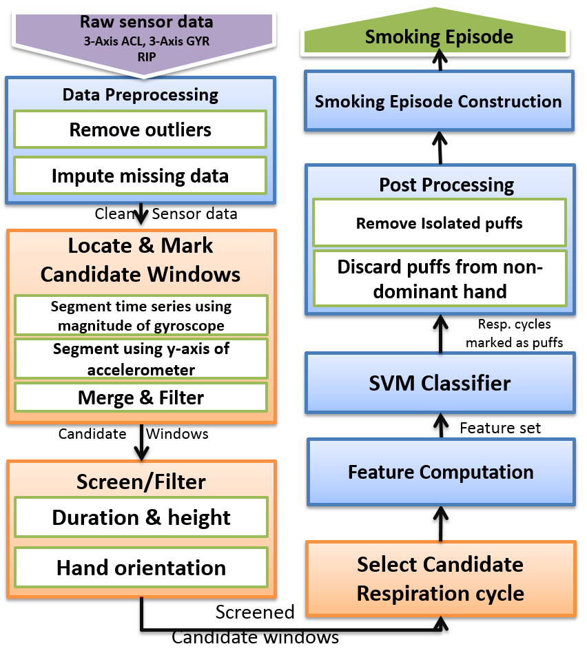 comp model